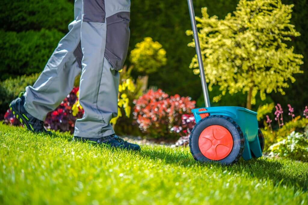 grass-sowing-in-the-garden-P29UUKB