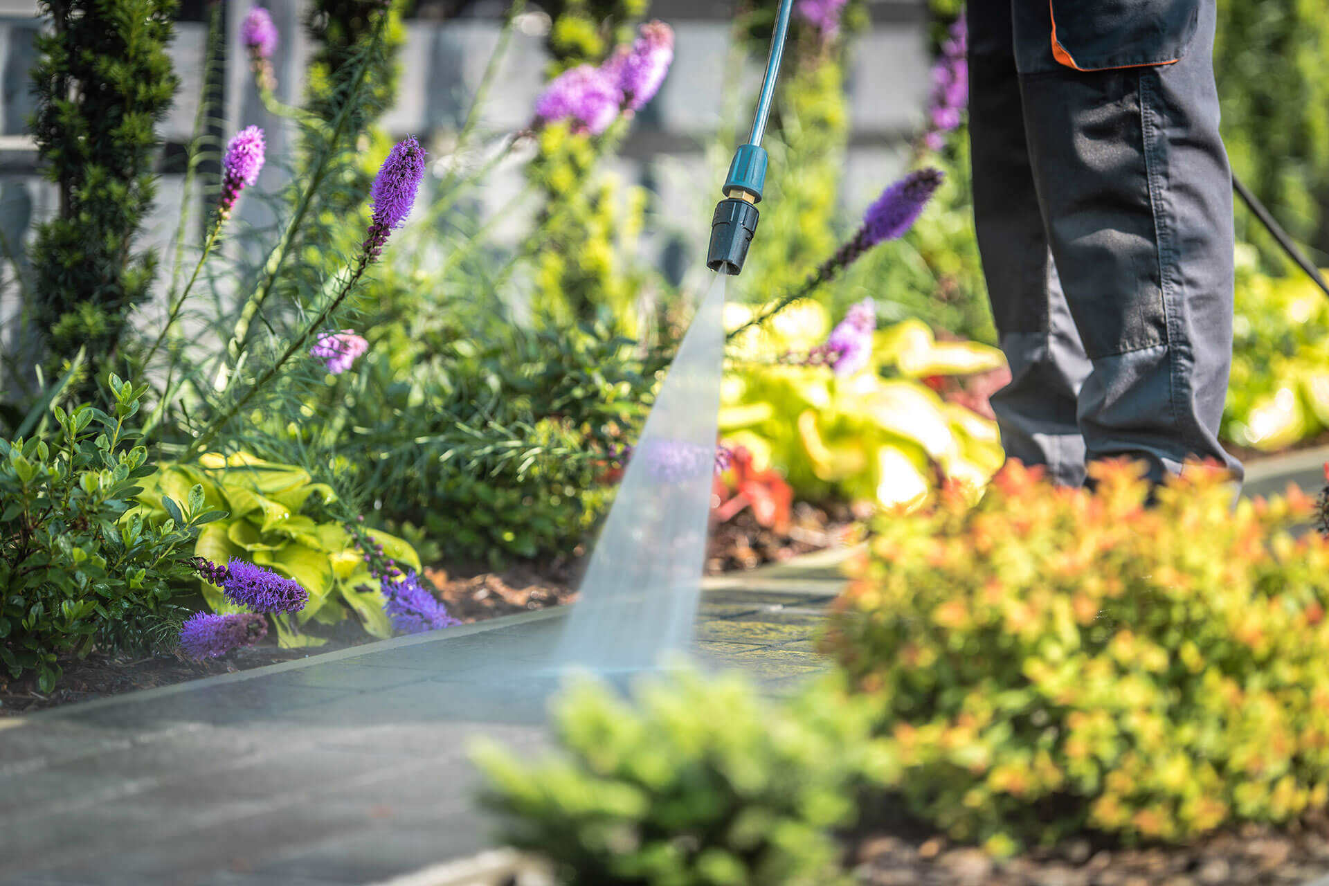 Garden and Clearance